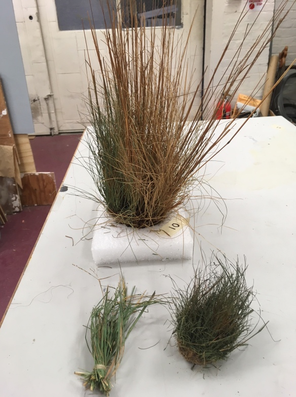 Grass Surprise!  Museum Model Making at Yale Peabody